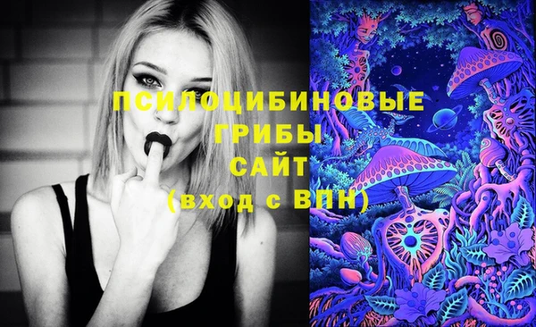 эйфоретик Алексин