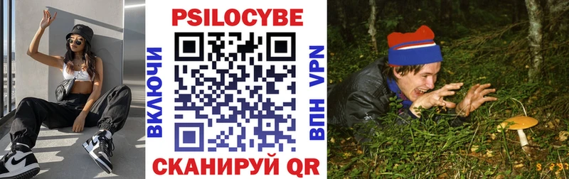 Купить  Екатеринбург  Галлюциногенные грибы MAGIC MUSHROOMS 
